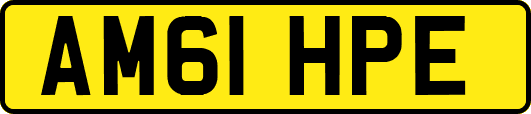 AM61HPE