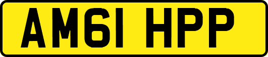 AM61HPP