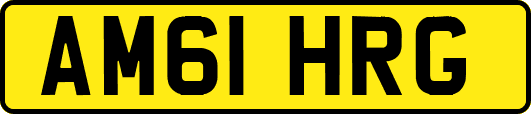 AM61HRG