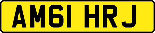 AM61HRJ