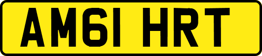 AM61HRT
