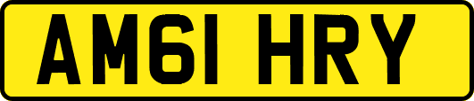 AM61HRY