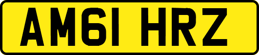 AM61HRZ
