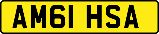 AM61HSA