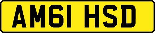 AM61HSD