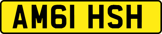 AM61HSH