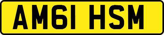 AM61HSM