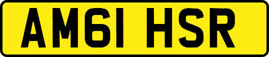 AM61HSR