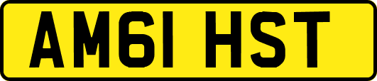 AM61HST