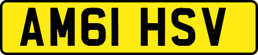 AM61HSV
