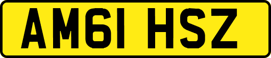 AM61HSZ