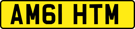 AM61HTM