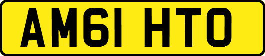 AM61HTO