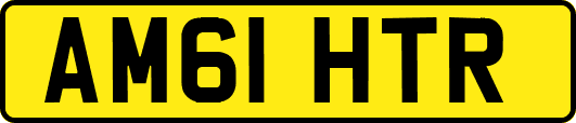 AM61HTR
