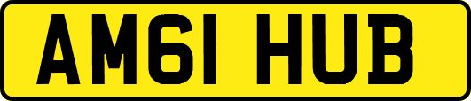 AM61HUB
