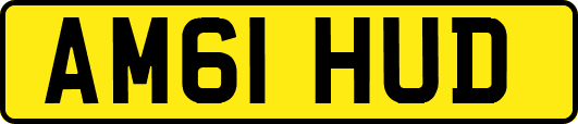 AM61HUD