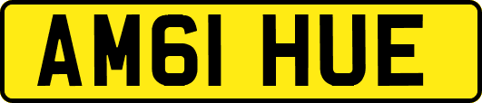 AM61HUE
