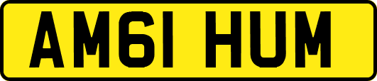 AM61HUM