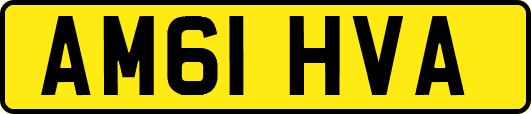 AM61HVA
