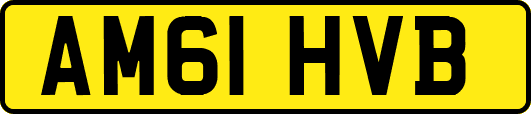 AM61HVB