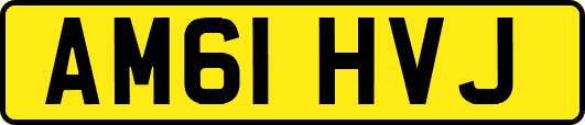 AM61HVJ