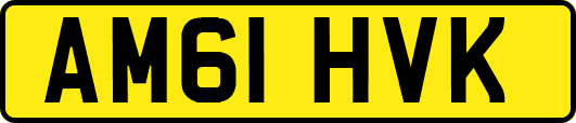 AM61HVK