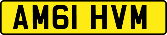 AM61HVM