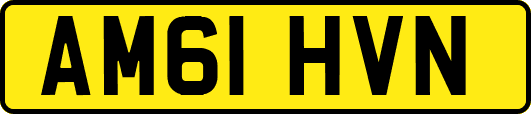 AM61HVN