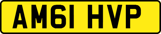 AM61HVP