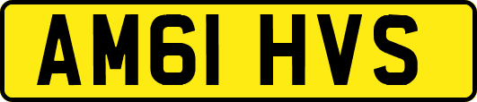 AM61HVS