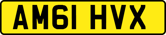 AM61HVX