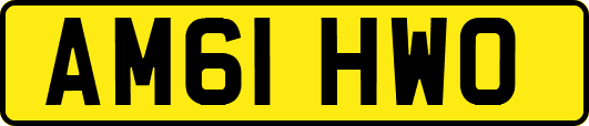 AM61HWO