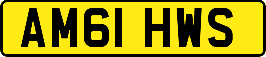 AM61HWS