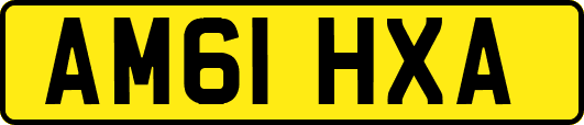 AM61HXA