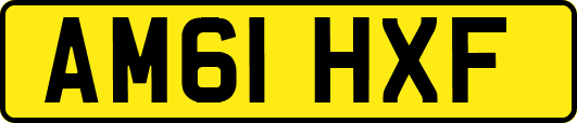 AM61HXF