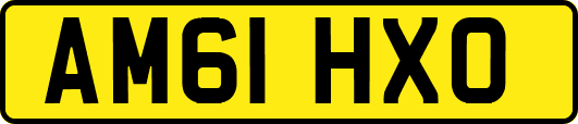 AM61HXO
