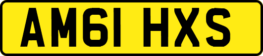 AM61HXS