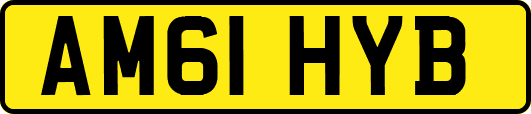AM61HYB
