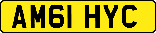 AM61HYC