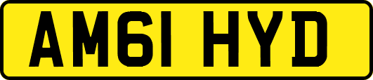 AM61HYD