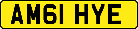 AM61HYE