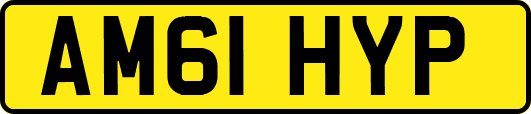 AM61HYP