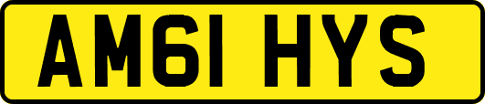AM61HYS