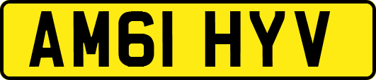 AM61HYV