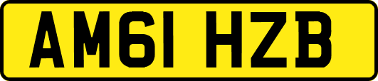 AM61HZB