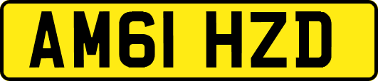 AM61HZD