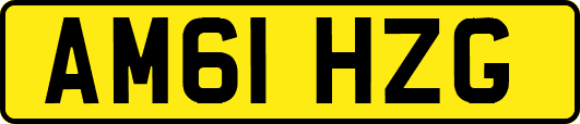 AM61HZG