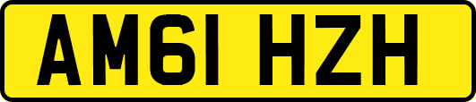 AM61HZH