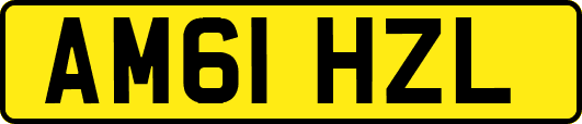 AM61HZL
