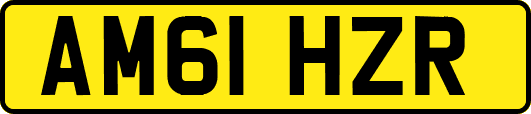 AM61HZR